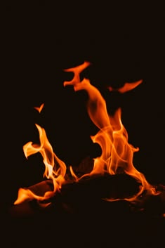 Fire — Sweat Lodge, Rites of Bali retreat