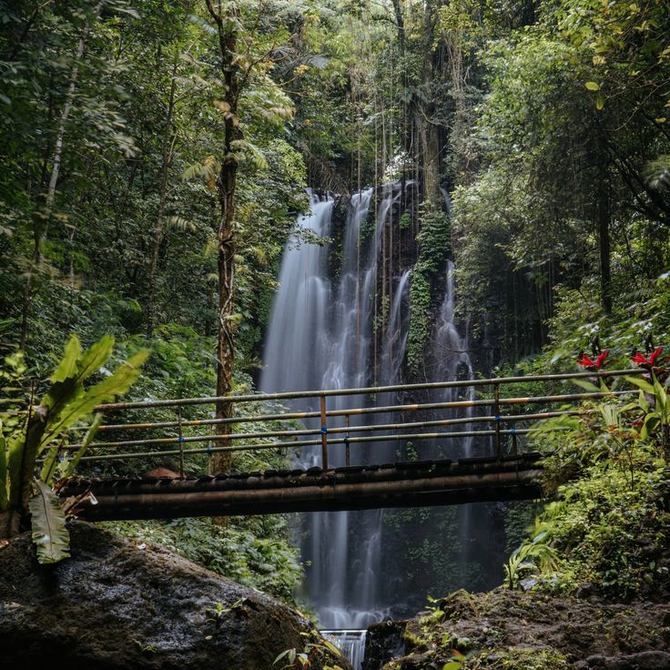 Earth — Jungle + Waterfalls, Rites of Bali retreat